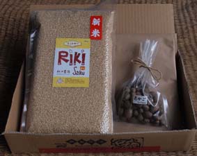 むかご 玄米セット